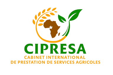 CIPRESA Consulting